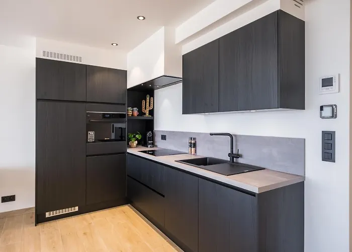 2 Bedrooms With Magnificent Seaview And Free Parking Остенде